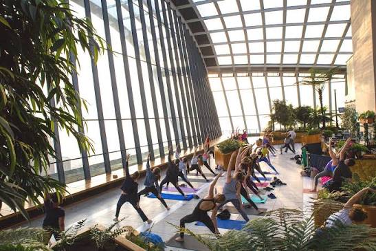 Yoga @ Sky Garden